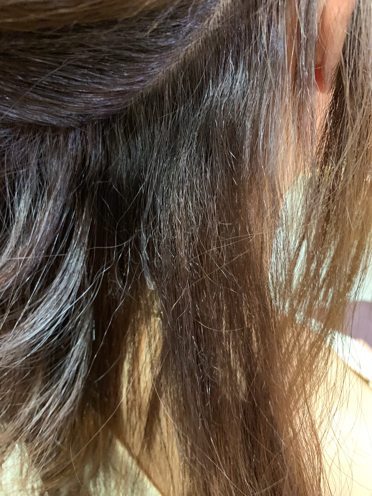 【ビビリ矯正】で縮毛矯正デジタルパーマでチリチリになった髪を艶髪。原宿・表参道『1000人をツヤ髪にヘアケア美容師の挑戦』