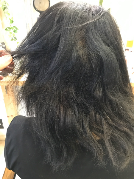 高難易度縮毛矯正で髪がチリチリに。。【ビビリ矯正】でビビリ毛直し。原宿・表参道『1000人をツヤ髪にヘアケア美容師の挑戦』