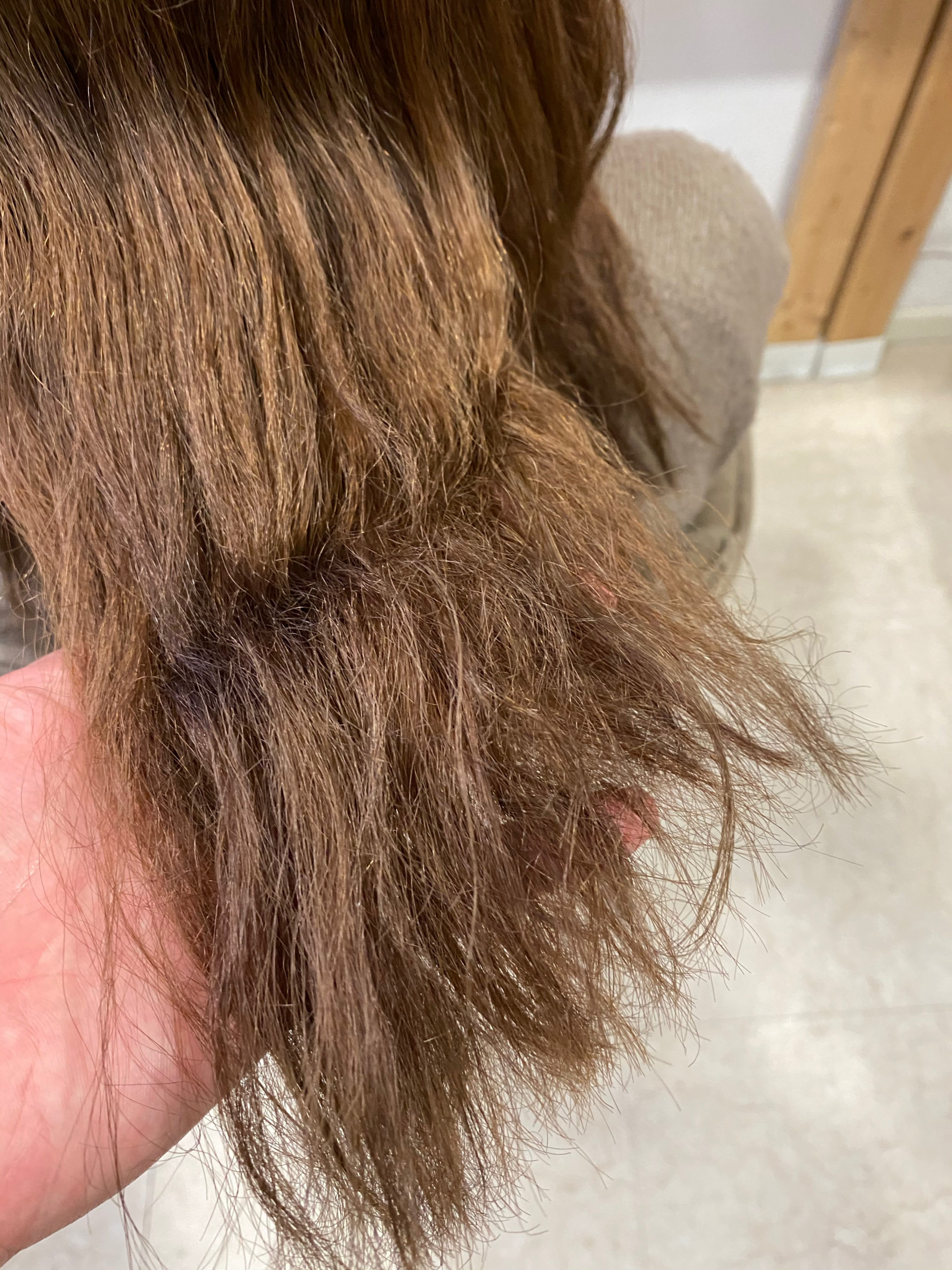 パーマで失敗、髪がチリチリに。。【ビビリ矯正】で艶髪に変身。原宿・表参道『髪のお悩みを解決するヘアケア美容師の挑戦』